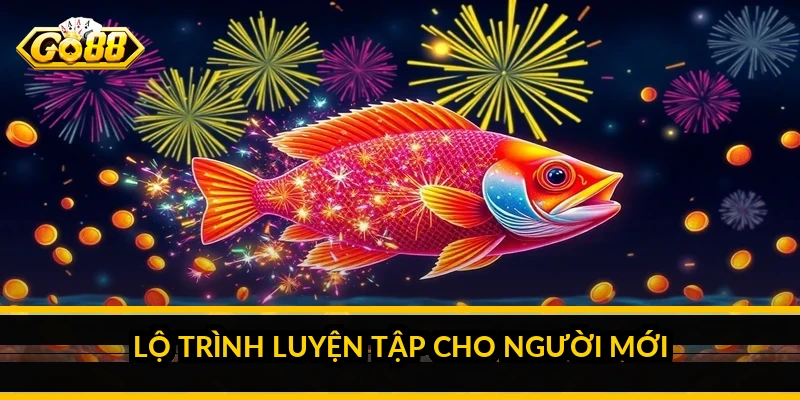 Lộ trình luyện tập cho người mới